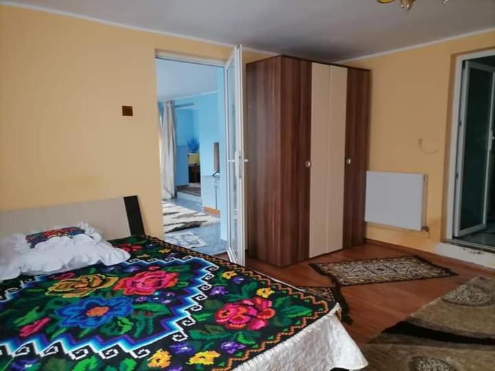 Pensiunea Brezu Sighetu Marmatiei Exterior photo